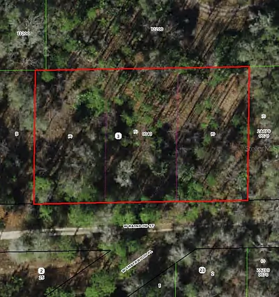 7265 W RAINBOW STREET Dunnellon FL