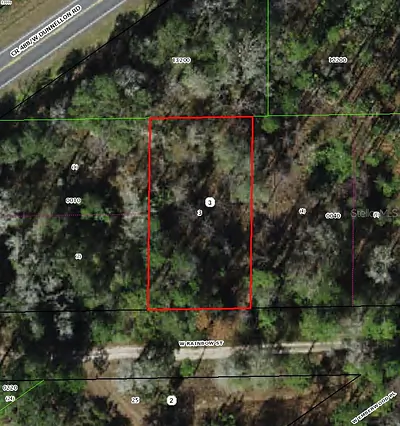 7277 W RAINBOW STREET Dunnellon FL