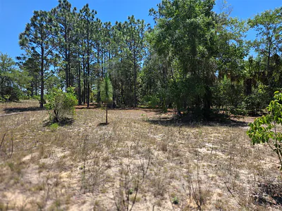 11837 N CAPTIVA TERRACE Dunnellon FL