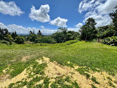 CAMINO VITORIANO Lares PR