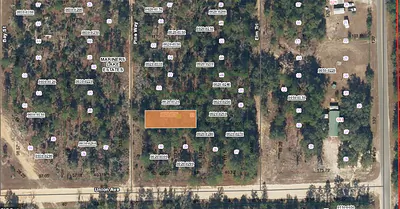 XX PINE WAY Interlachen FL