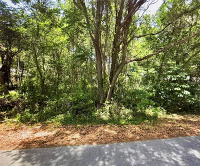 41 PINE TRACE COURSE Ocala FL
