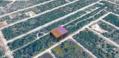 955 RIDGE STREET Lake Placid FL