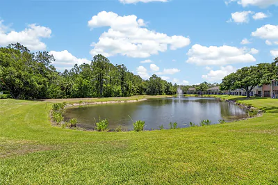 18947 DUQUESNE DRIVE Tampa FL