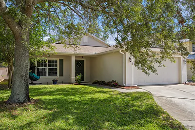 2523 MARTINS RUN Tavares FL