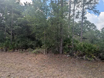 ALLAMANDA DRIVE Indian Lake Estates FL