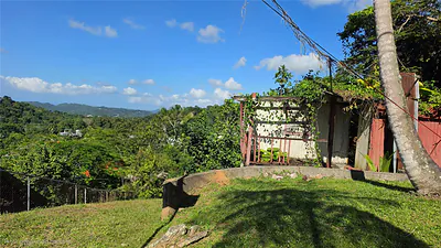 Bo. Guaraguao SECTOR SANCHEZ MULERO lote #1 #lote #1 Bayamon PR