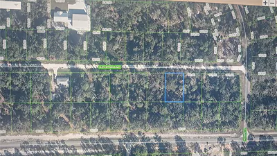 3216 GLEN SPRINGS AVENUE Lake Placid FL