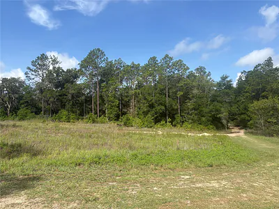 TBD SW 152 COURT Ocala FL