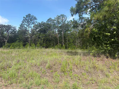 TBD SW 152 COURT Ocala FL