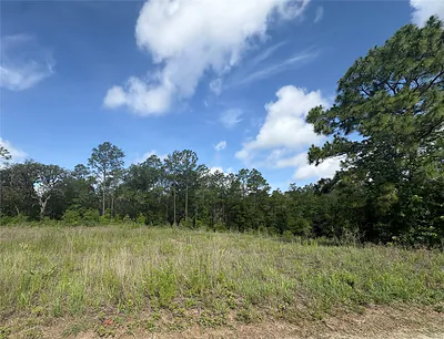 TBD SW 152 COURT Ocala FL