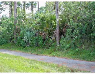 Xx Sycamore Drive W, FL 33470 Loxahatchee FL