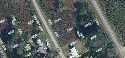 1025 ORIOLE STREET Lake Placid FL