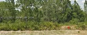 3011 W Dixon Rd Avon Park FL