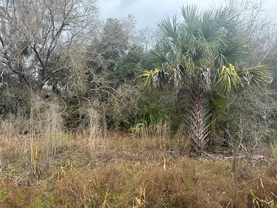 17667 NW 254TH STREET Okeechobee FL