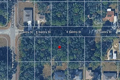 6600 E GENTRY STREET Inverness FL