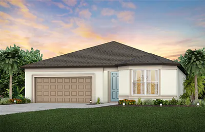9885 HICKORY PINES AVENUE Riverview FL