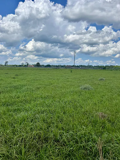 850 NW 344th Street, Okeechobee, FL 34972 Okeechobee FL
