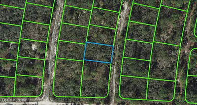 308 IMAGINATION DRIVE Lake Placid FL