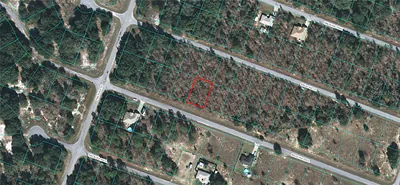 00 MALAUKA RADIAL Ocklawaha FL