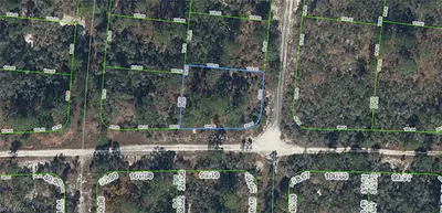 300 Rainbow DR LAKE PLACID FL