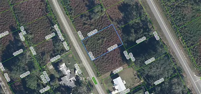 1025 Oriole ST LAKE PLACID FL