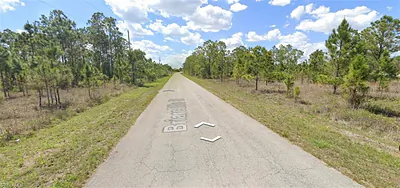 1163 Briarcliffe ST FORT MYERS FL