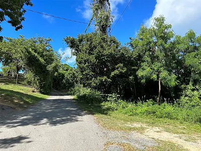 LA LLAVE Vieques PR