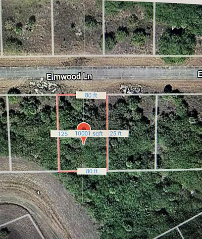 216 ELMWOOD STREET Labelle FL