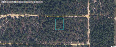 6213 OLGETHORPE AVENUE Keystone Heights FL