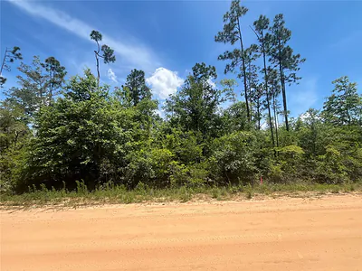 TAMARAC ROAD Marianna FL
