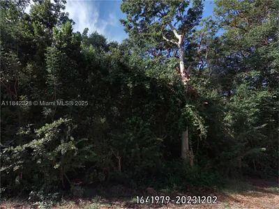 00 Poinsetta Other FL