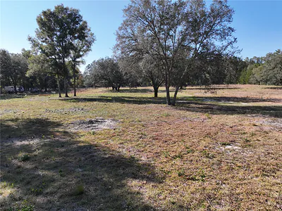 6671 NE 131ST AVENUE Williston FL