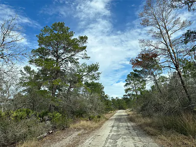 4508 Briarcliff Avenue, Sebring, FL 33875 Sebring FL