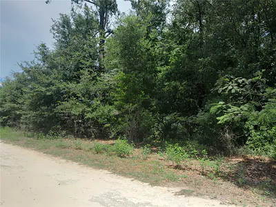 SE 108TH TERRACE Morriston FL