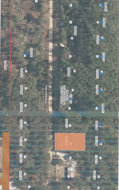 221 Thompson Avenue, Interlachen, FL 32148 Interlachen FL