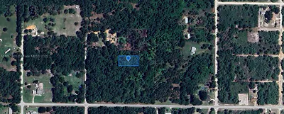 3175 W Foli Road, Avon Park, FL 33825 Avon Park FL
