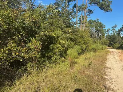0 Mulberry Drive, Marianna, FL 32448 Marianna FL