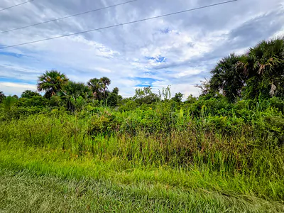 21018 NW 278th Street, Okeechobee, FL 34972 Okeechobee FL