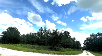 0 SW 134TH COURT Dunnellon FL