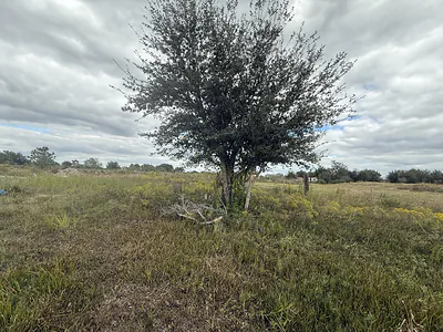 18677 NW 270th Street, Okeechobee, FL 34972 Okeechobee FL