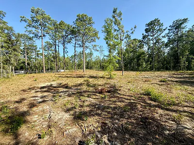 157 NW Th Avenue, Williston, FL 32696 Williston FL