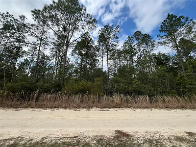 215 ROYAL AVENUE Interlachen FL
