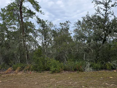 165 SW STREET ROAD Ocala FL