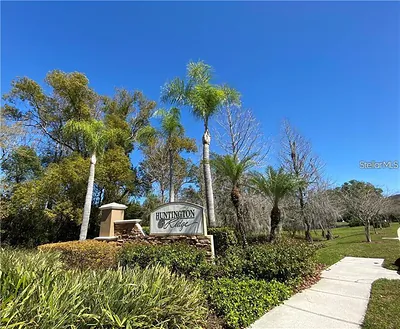 2052 PARK CRESCENT DRIVE Land O Lakes FL