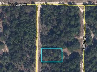 00 LEHIGH DRIVE Keystone Heights FL