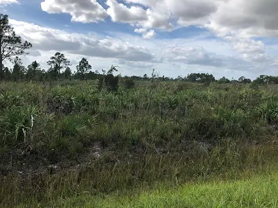 Nnne Undetermined, Ocala, FL 34473 Ocala FL