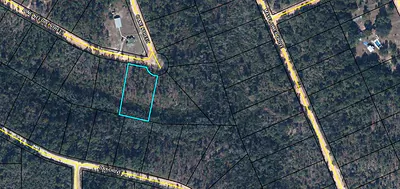 Tbd Pine Needle Street, Marianna, FL 32448 Marianna FL