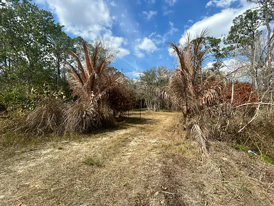 855 NW 368th Drive, Okeechobee, FL 34972 Okeechobee FL