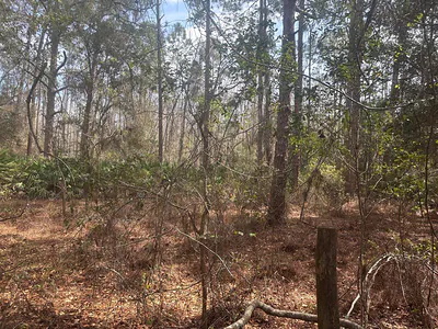 0 Old Grade Road, FL 33868 Polk City FL